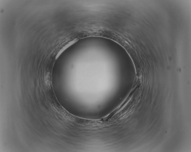 X0000072511156200608041459