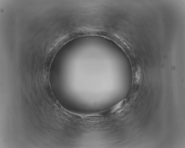 X0000072511157200608041459