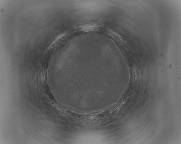 X0000072511158200608041459