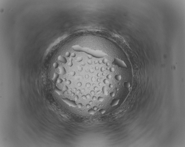 X0000072511159200608041459