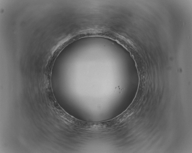 X0000072511160200608041459