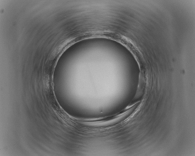 X0000072511161200608041459