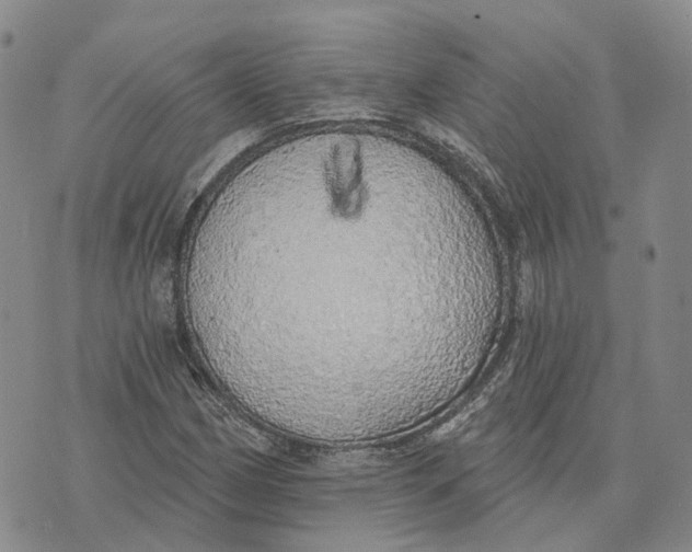 X0000072511162200608041459