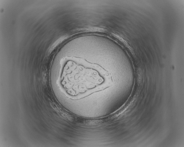 X0000072511163200608041459