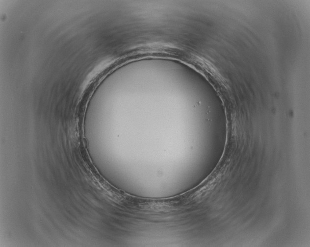 X0000072511164200608041459