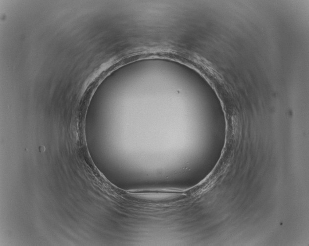 X0000072511165200608041459