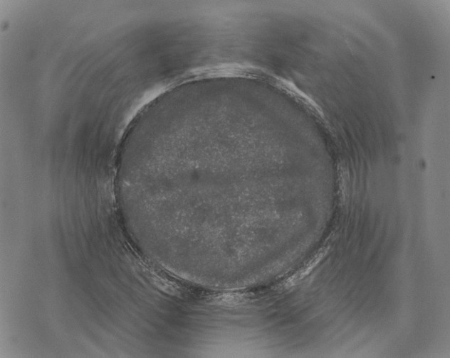 X0000072511166200608041459