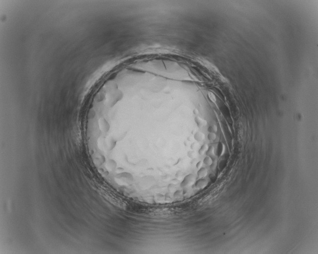 X0000072511167200608041459