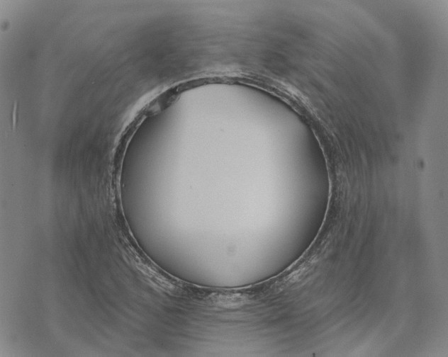 X0000072511168200608041459