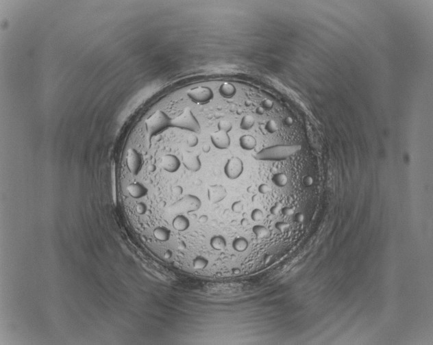 X0000072511171200608041459