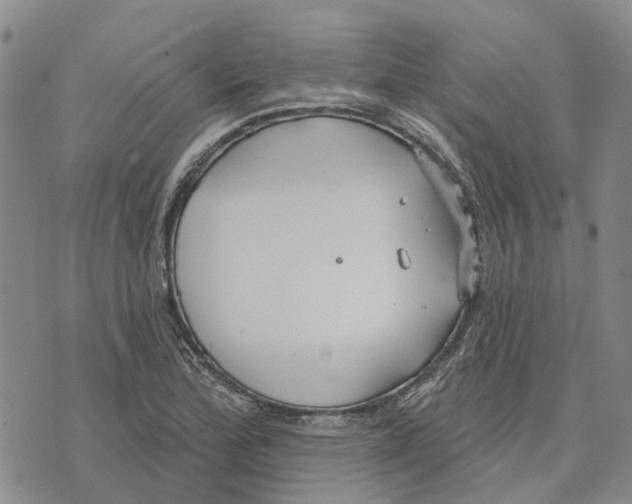 X0000072511172200608041459