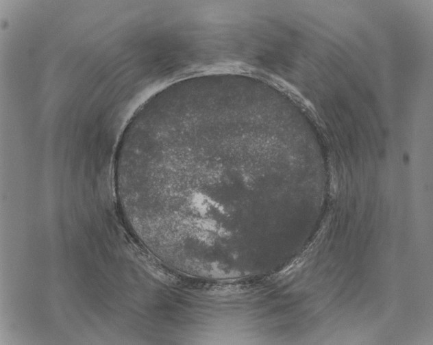 X0000072511174200608041459