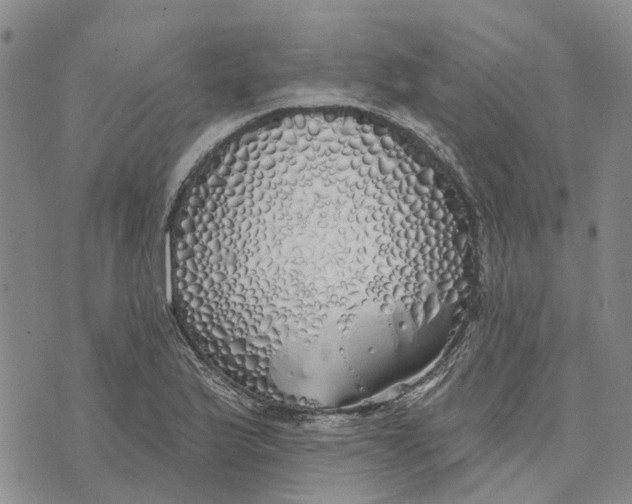 X0000072511175200608041459