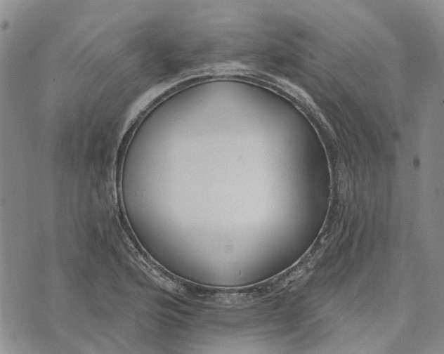 X0000072511176200608041459