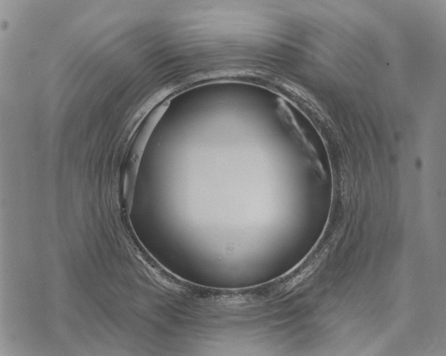 X0000072511177200608041459