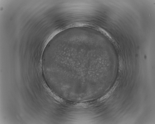 X0000072511178200608041459