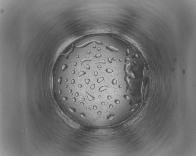 X0000072511179200608041459