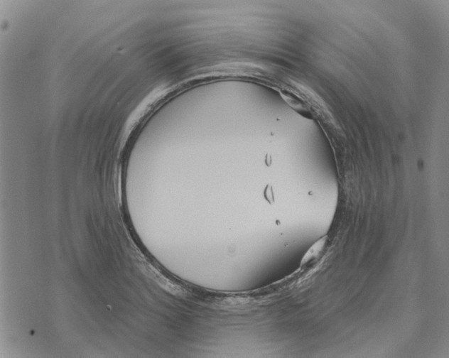 X0000072511180200608041459