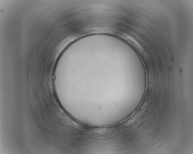 X0000072511182200608041459