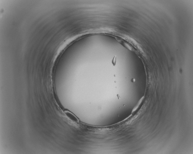 X0000072511184200608041459