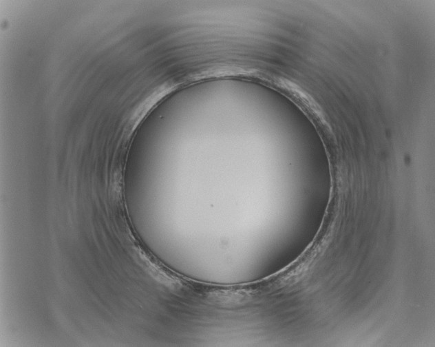 X0000072511185200608041459