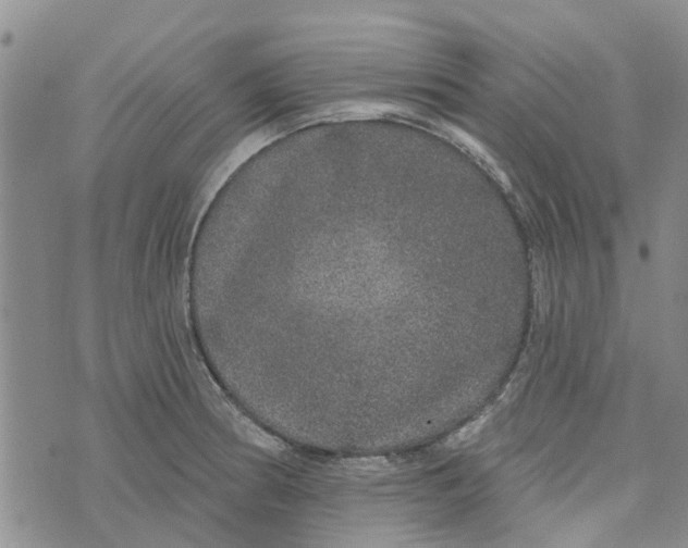 X0000072511186200608041459