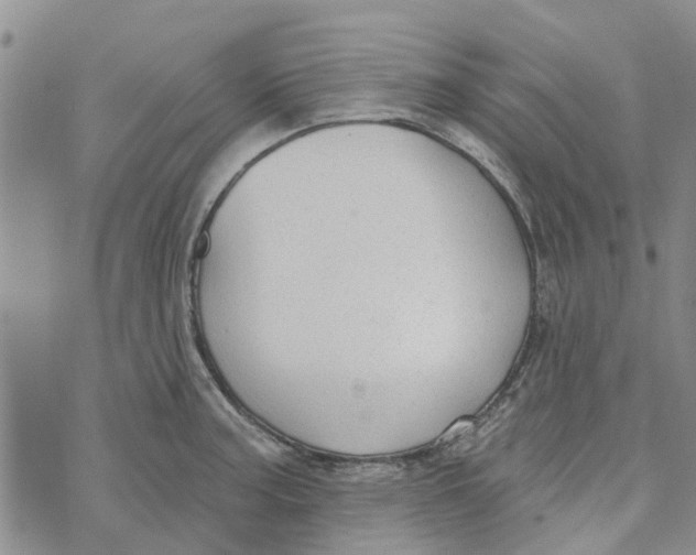 X0000072511187200608041459