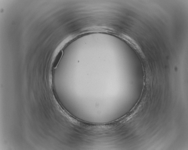 X0000072511188200608041458