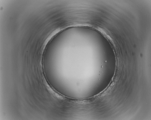 X0000072511189200608041458