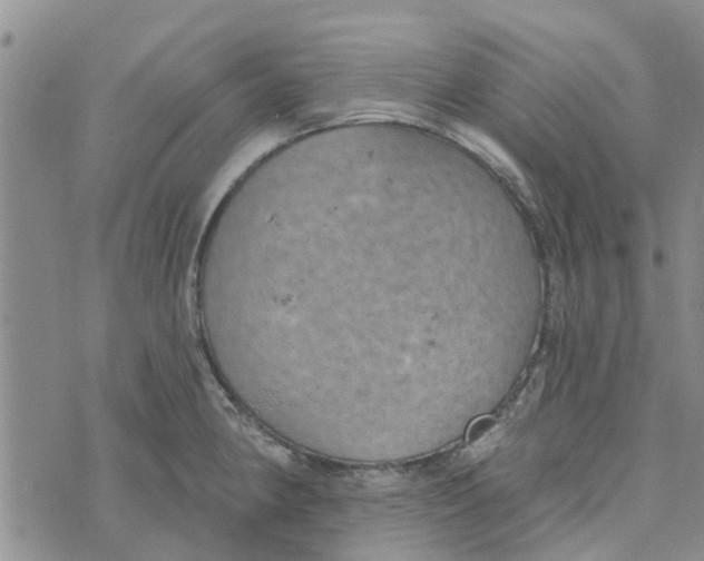 X0000072511190200608041458