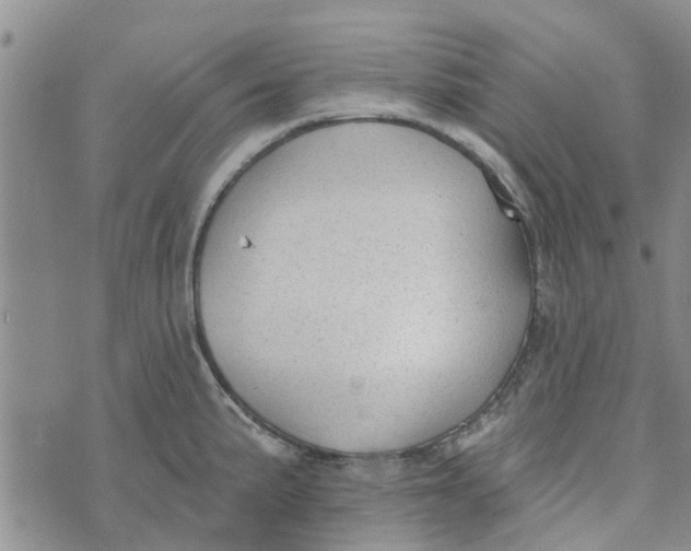 X0000072511191200608041458