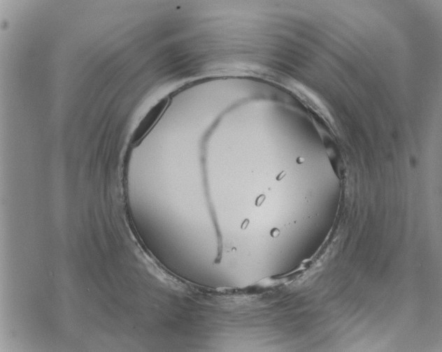 X0000072511192200608041458