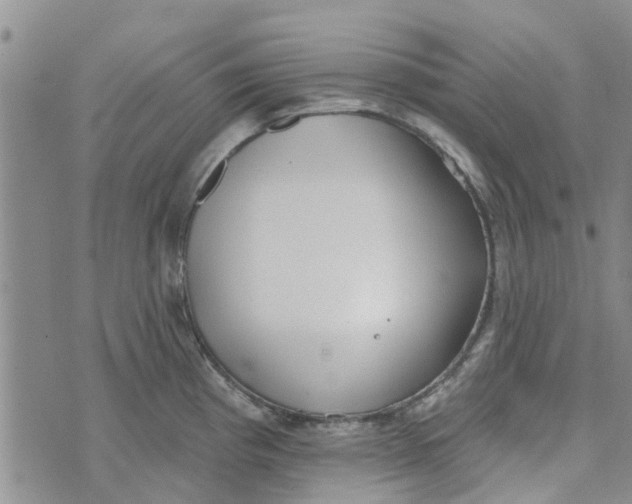 X0000072511193200608041458