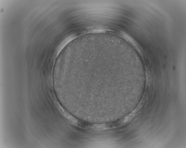 X0000072511194200608041458