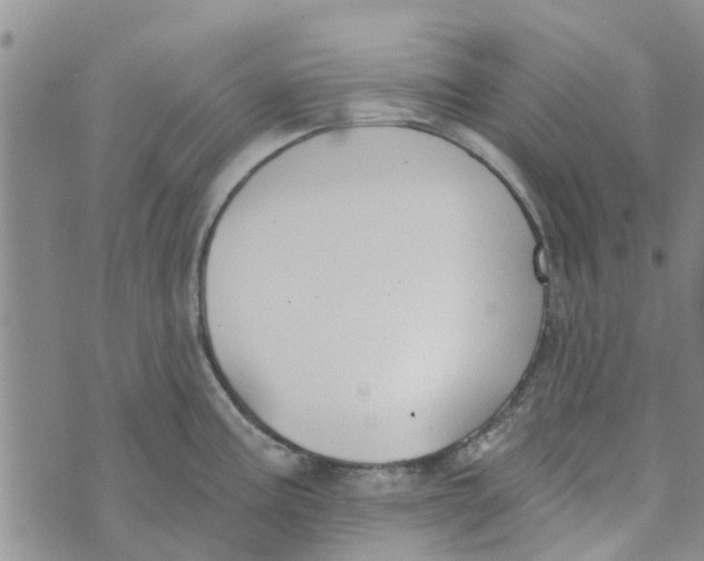 X0000072511195200608041458