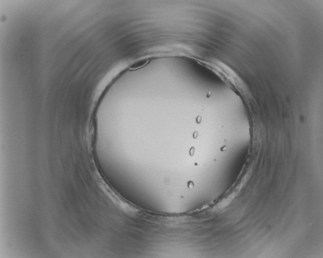 X0000072511196200608041458