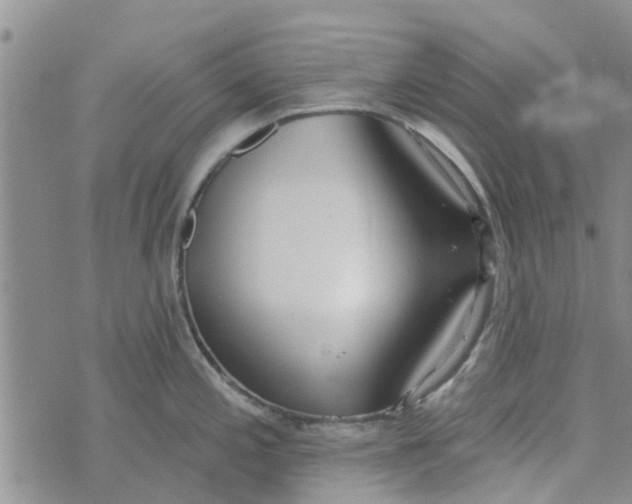 X0000072511197200608041458