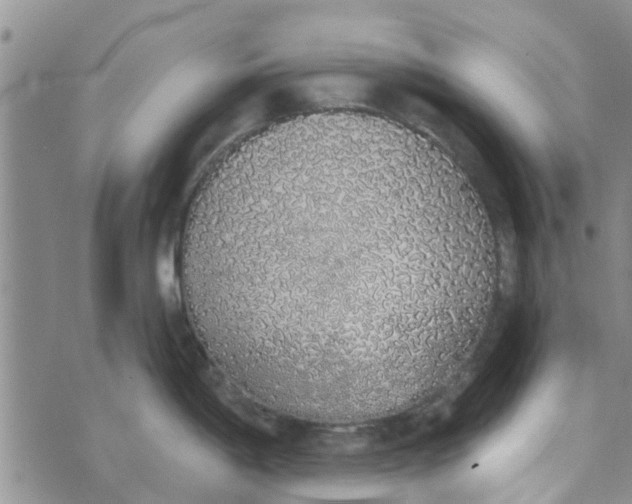 X0000072511198200608041458