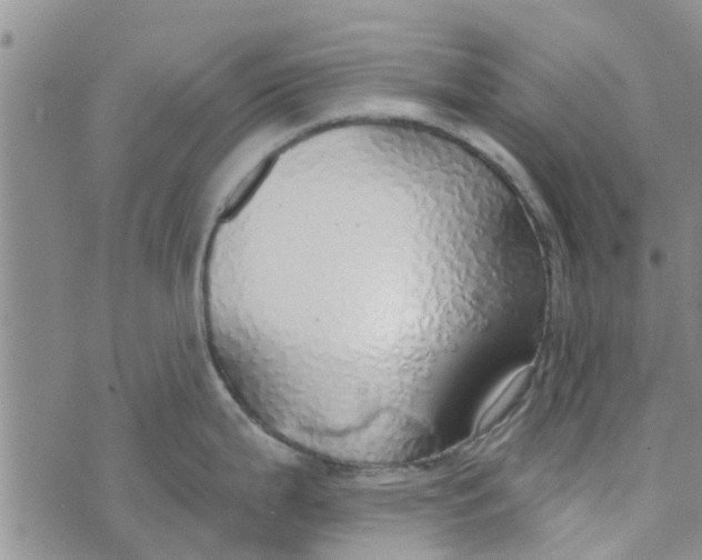 X0000072511199200608041458