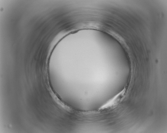 X0000072511200200608041458