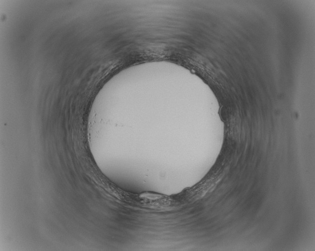 X0000072511201200608041458