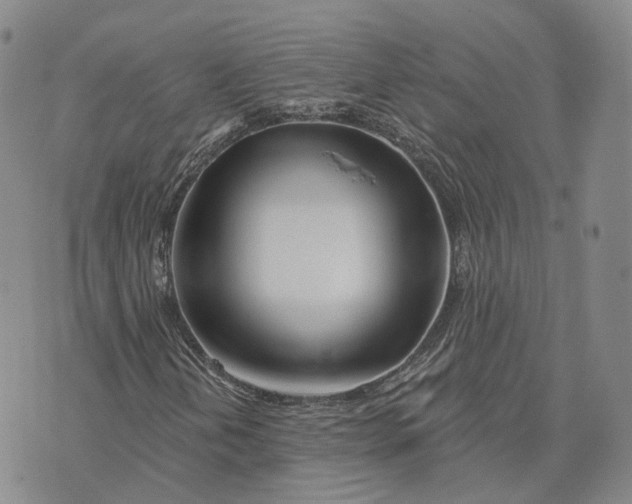 X0000072511202200608041458