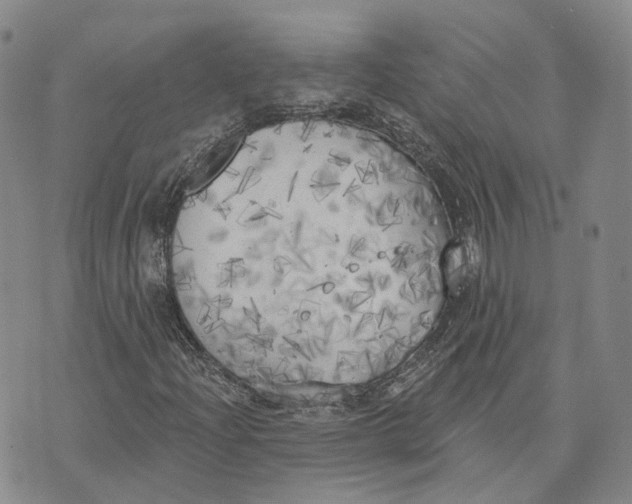 X0000072511204200608041458