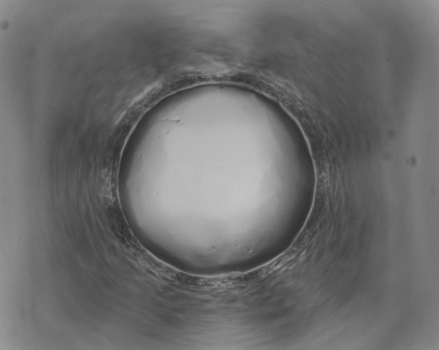 X0000072511205200608041458