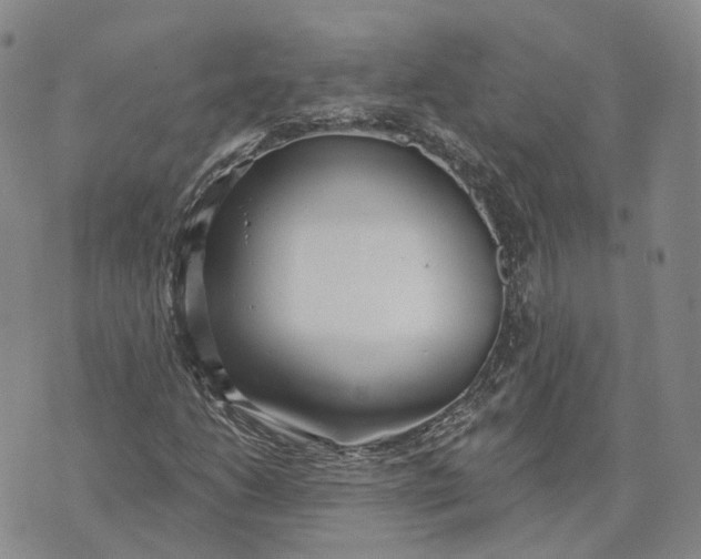 X0000072511206200608041458