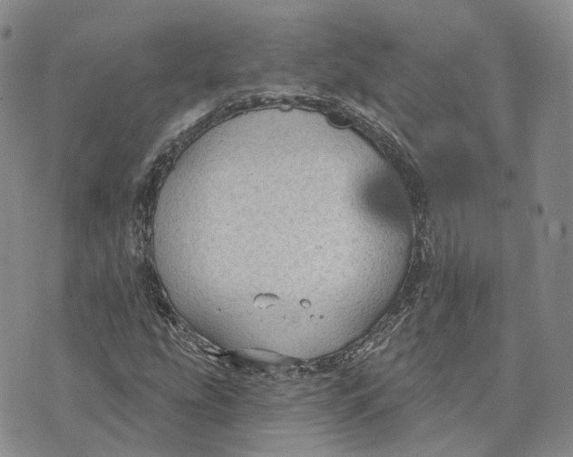 X0000072511207200608041458