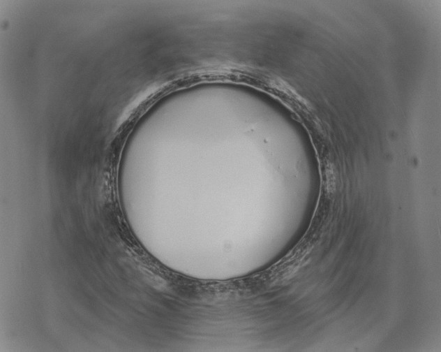 X0000072511208200608041458