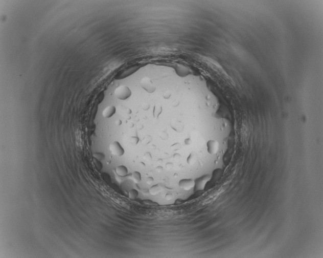 X0000072511209200608041458