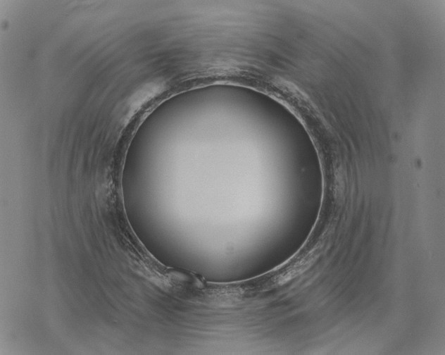 X0000072511210200608041458