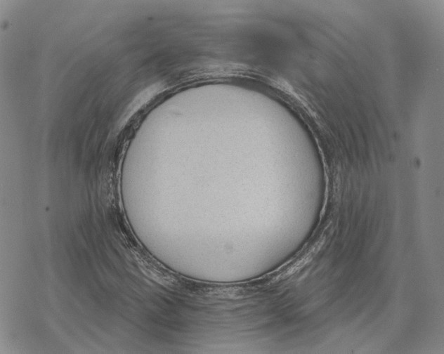 X0000072511211200608041458